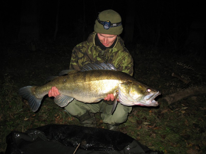 Candát obecný, 10 kg. 94 cm, Labe, 15.10.2010, Pavel Šída Liberec, vrácen vodě